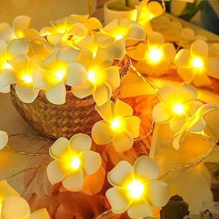 Kath Golap Led Fairy Light Decorative Party Home De